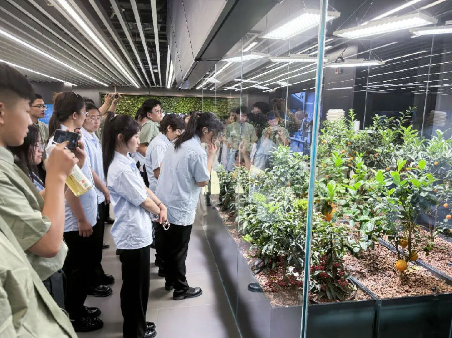 八維教育實訓基地與聯想科技藍圖雙鏡照亮前程
