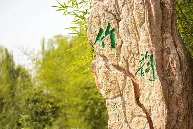 技術引領未來就業市場，看清全球人才招聘趨勢